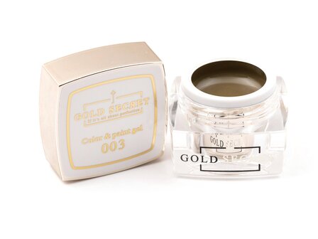 Gold Secret Color &amp; Paint gel 003